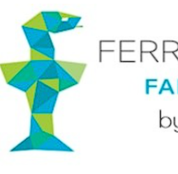 Pharmacy Ferro Mauri Sants